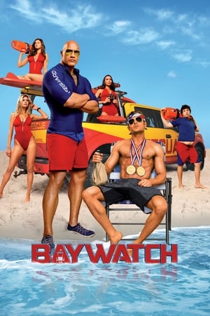 Baywatch 2017 Hevc | Hindi Dubbed Movie Dual Audio Hindi movie Web-DL